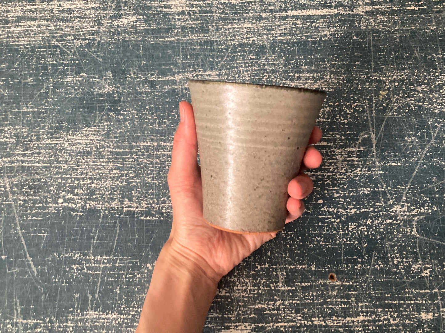 カップ グレー / イベント商品