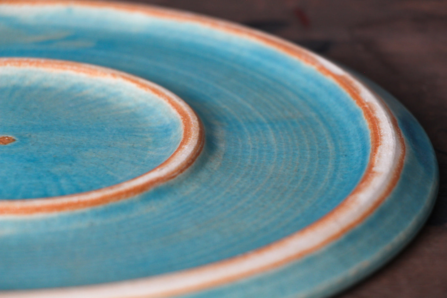 27cmフラットプレート/ デッドストック