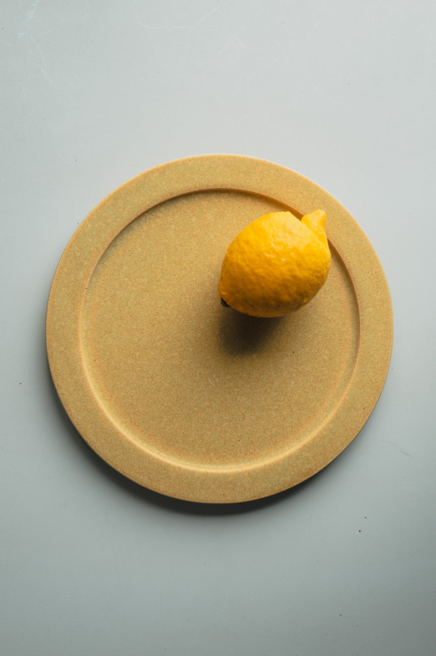 The Plate 01 < Shun × TOKINOHA >